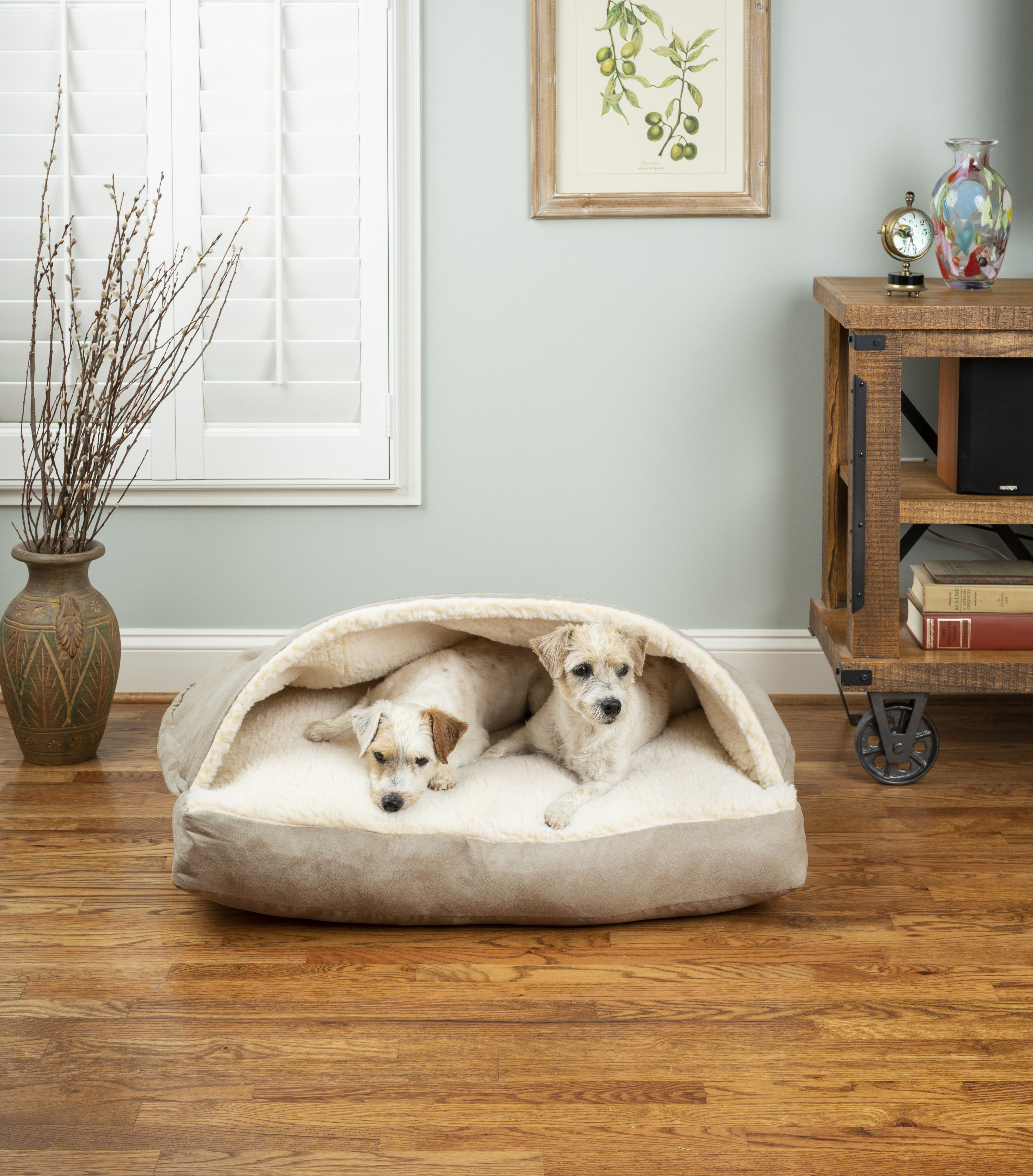 Cave dog bed hotsell